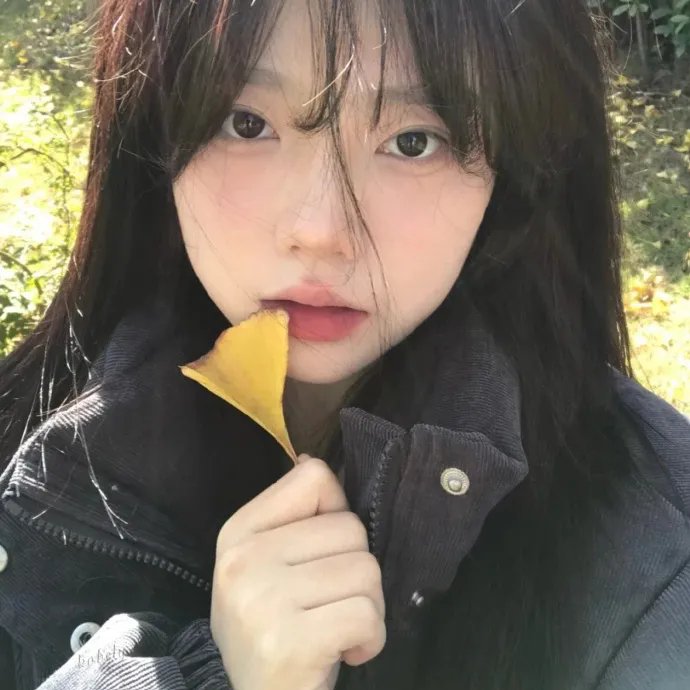 最后命令
